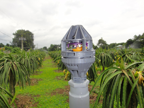 Thiết bị tưới phun mưa cho cây Thanh Long