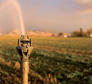 Các phương pháp tưới trong nông nghiệp