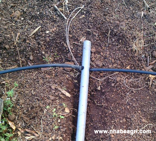 Nối ống PE với ống PVC