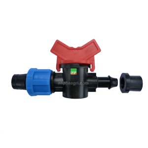 Van khoi-thuy-ong-nho-giot-dep