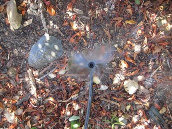 Tưới phun mưa cục bộ