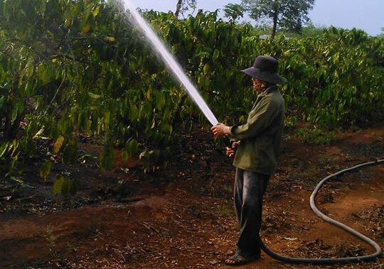 DAU-TUOI-40MM-JAVICO-HOP-KIM