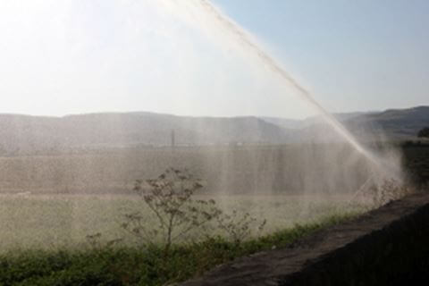 Ducar-Jet50T-1-Sung-tuoi-ban-kinh-lon