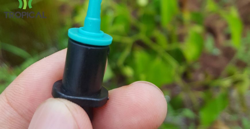 tưới phun mưa cục bộ