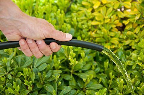 Xử lý đoạn cuối ống PE trong hệ thống tưới nhỏ giọt